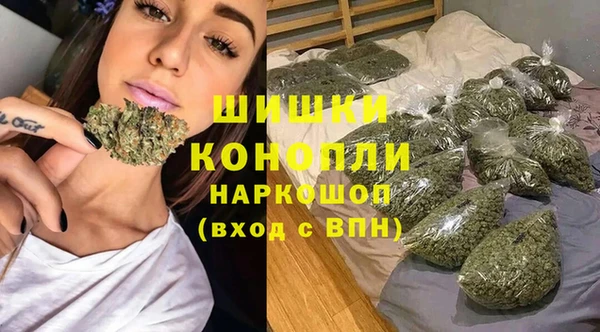 шишки Алексин