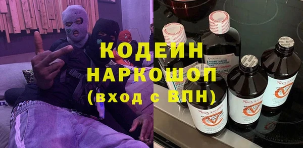шишки Алексин