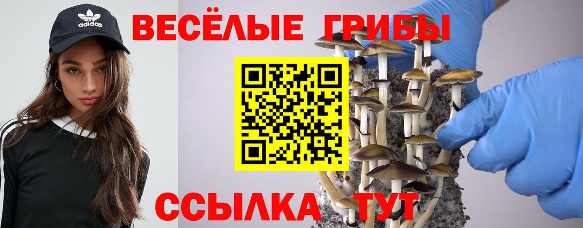 Галлюциногенные грибы ЛСД  купить   Энгельс  Вход с VPN 